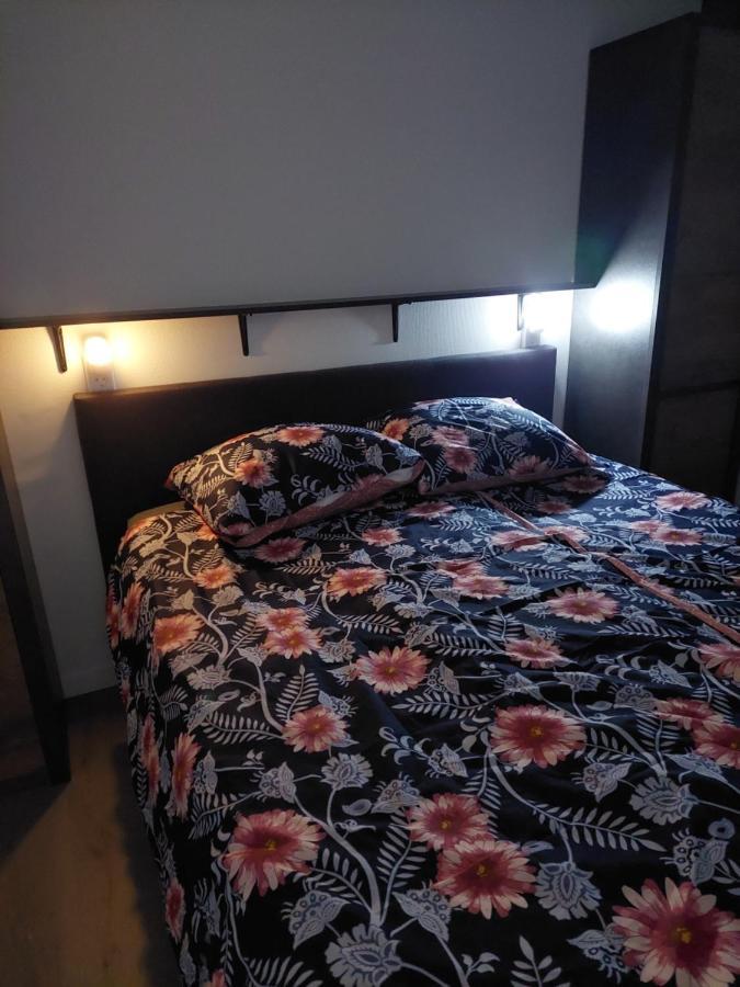Chalet Moderna 皮滕 外观 照片